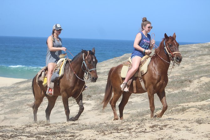 Cabo Desert ATV & Beach Horseback Combo and Tequila Tasting - Requirements and Booking Information