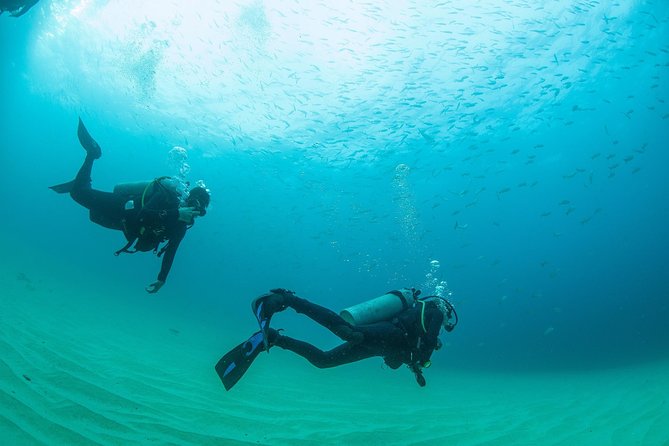 Cabo San Lucas Beginner Scuba Diving Experience - Training and Safety