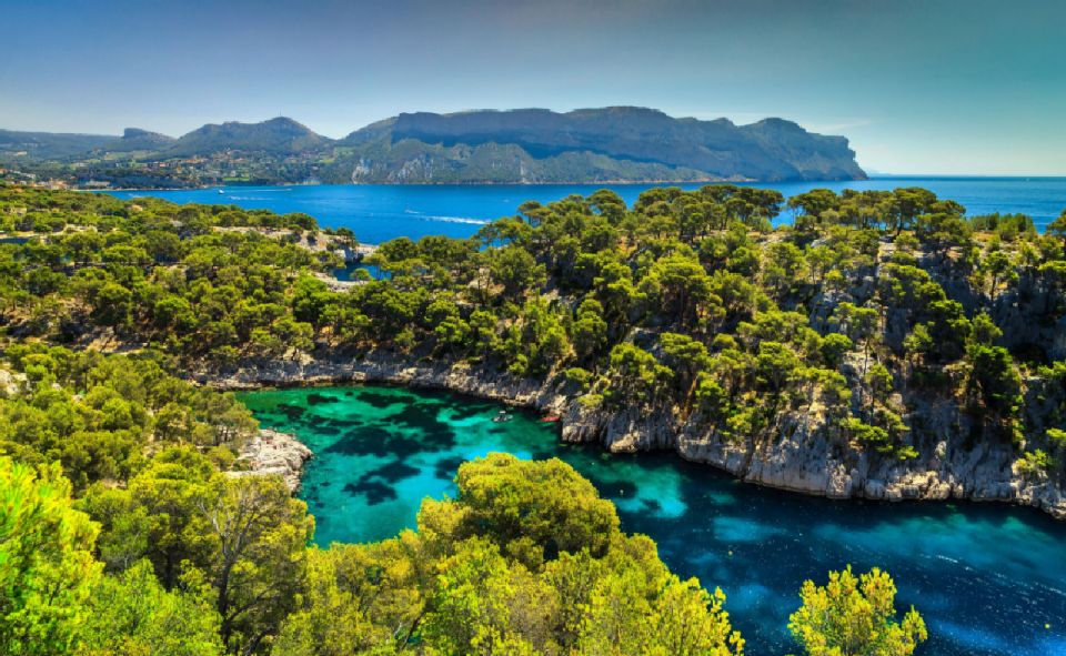 Calanques of Cassis, Aix-en-Provence & Wine Tasting Day Tour - Wine Tasting Session