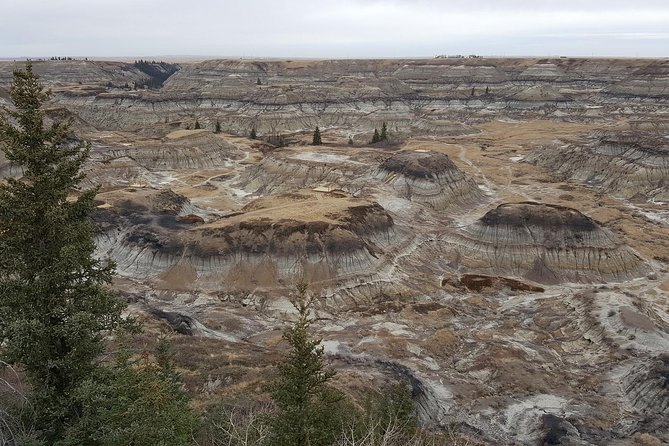 Calgary to Royal Tyrrell Museum Drumheller – PRIVATE TOUR - Common questions