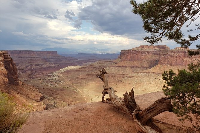 Canyonlands National Park Backcountry 4x4 Adventure From Moab - Guide Expertise and Equipment