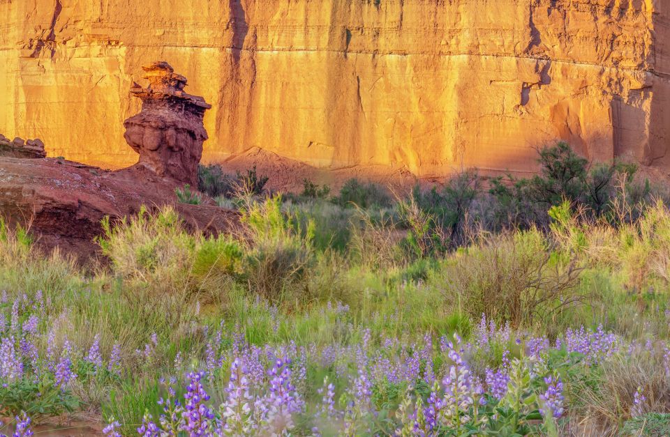 Capitol Reef National Park: Cathedral Valley Day Trip - Additional Activities