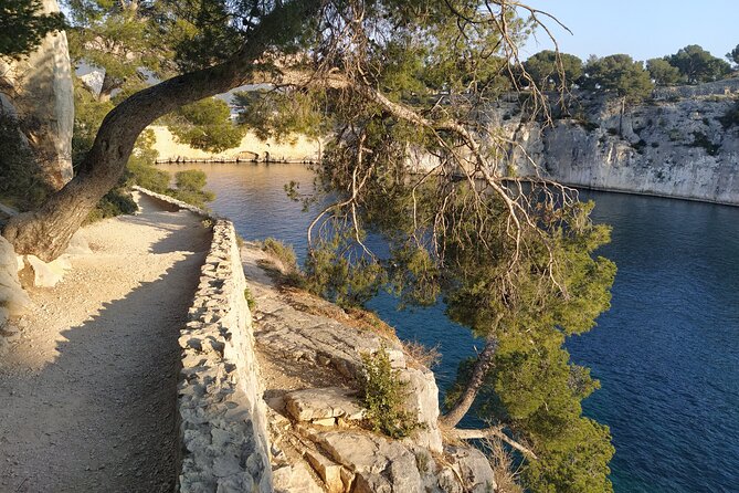 Cassis Hike: Port-Miou, Port-Pin, En-Vau - Wildlife and Flora Encounters