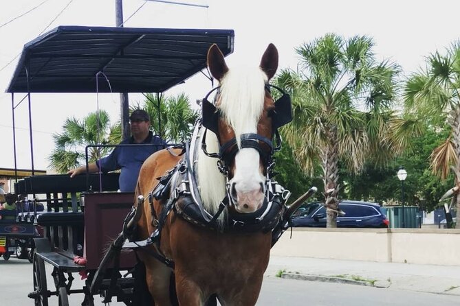 Charlestons Historic Residential Horse and Carriage Tour - Tour Guide Information