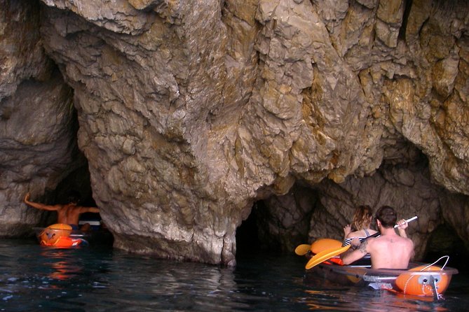 Chasing Syrens Transparent Kayak Tours - Customer Reviews and Overall Experience