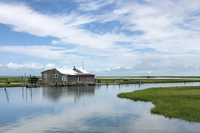 Chincoteagues Up The Bay Pony and Wildlife Tour by Boat - Helpful Resources