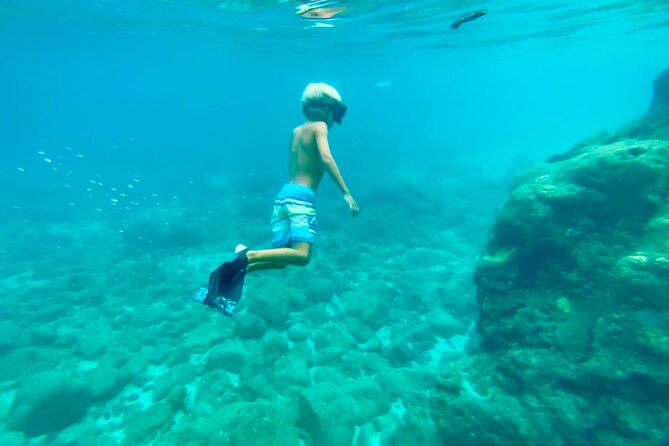 Circle Island North Shore Adventure Tour Snorkeling - Notable Tour Highlights and Feedback