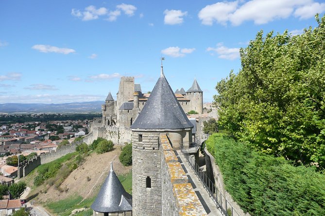 Cité De Carcassonne Guided Walking Tour. Private Tour. - Common questions