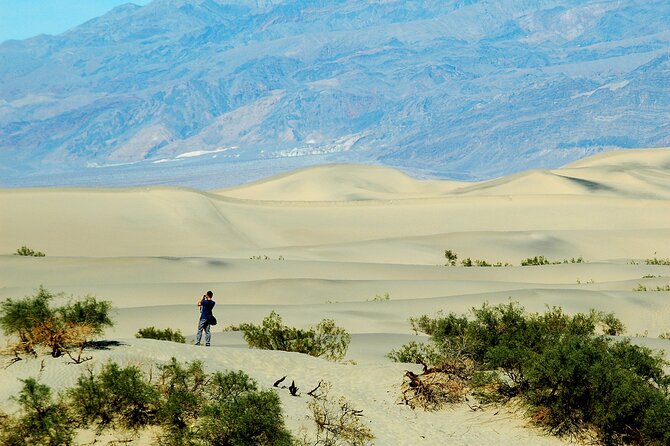 Death Valley Day Trip From Las Vegas - Tour Logistics and Customer Satisfaction