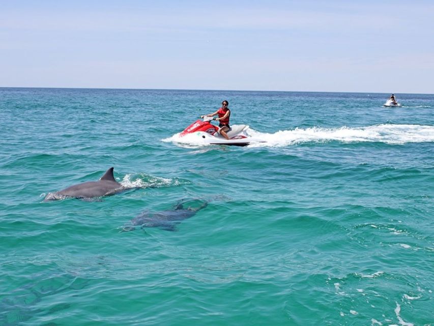 Destin: Crab Island Dolphin Watching Jet Ski Tour - Safety Guidelines