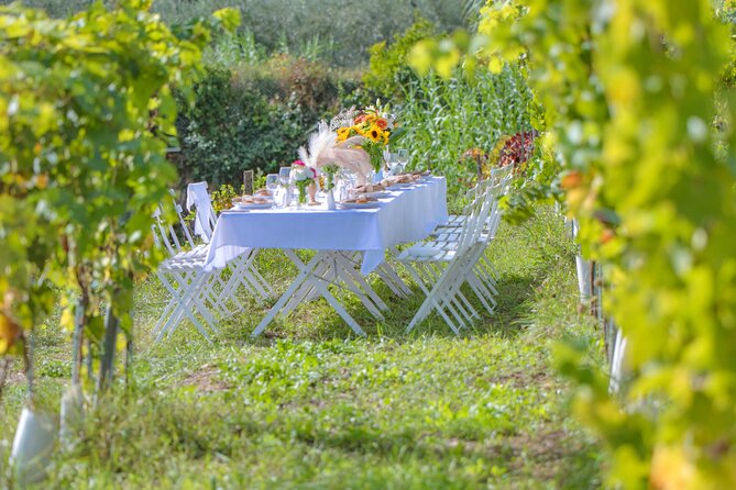 Dinner in the Vineyard French Riviera - Menu Selections