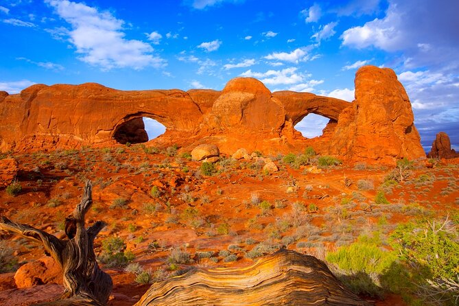 Discover Moab in A Day: Arches, Canyonlands, Dead Horse Pt - Customer Reviews and Recommendations