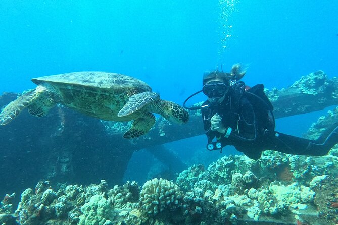 Discover Scuba Diving Class - Lahaina (Shore) - Logistics and Meeting Point