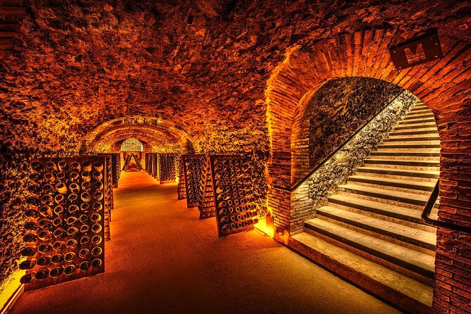 Discover The Cellars in The Heart of The Countryside in Champagne - Booking Information and Pricing
