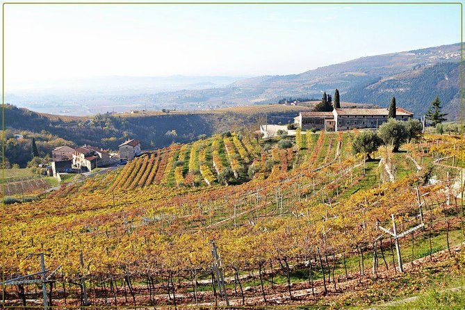 Discover Valpolicella Vineyards and Wine Tasting Experience - Tour Details: Meeting Point and Accessibility