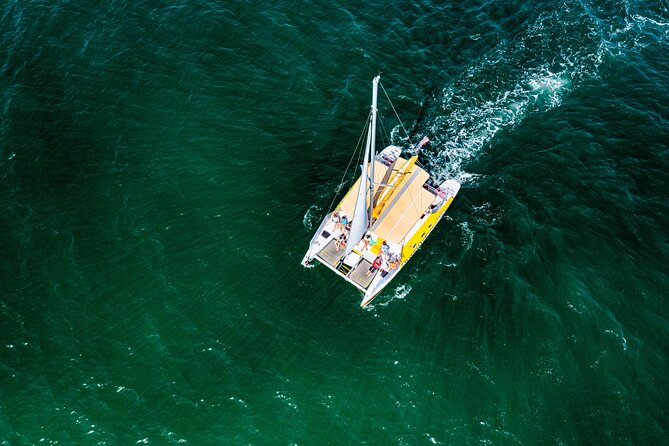 Dolphin Sightseeing Tour on the Footloose Catamaran From Panama City Beach - Dolphin Sighting Experience