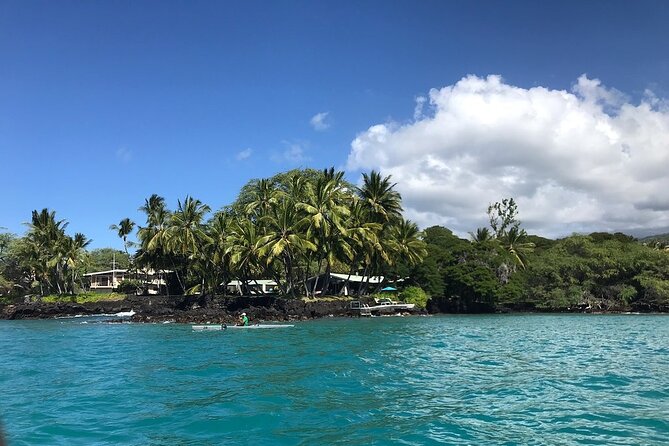 Dolphin Watch & Snorkel Captain Cook Monument Big Island Kailua-Kona Hawaii - Overall Experience Summary