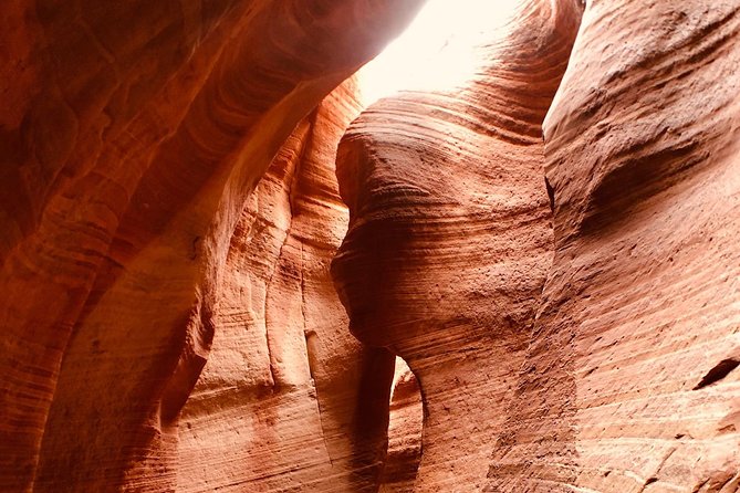 East Zion 4 Hour Slot Canyon Canyoneering UTV Tour - Booking Information