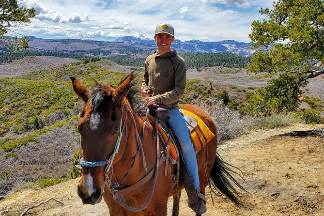 East Zion Pine Knoll Horseback Ride - Price and Contact Details