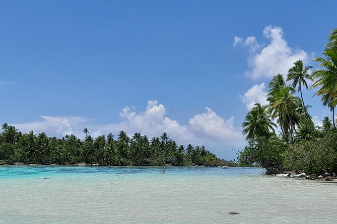 Enjoy Snorkeling With Our Multicolors Fishes in TAHAA FAMOUS CORAL GARDEN - Safety Guidelines and Instructions