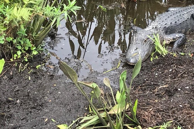 Everglades Airboat Tour Near Orlando Florida - Location and Accessibility