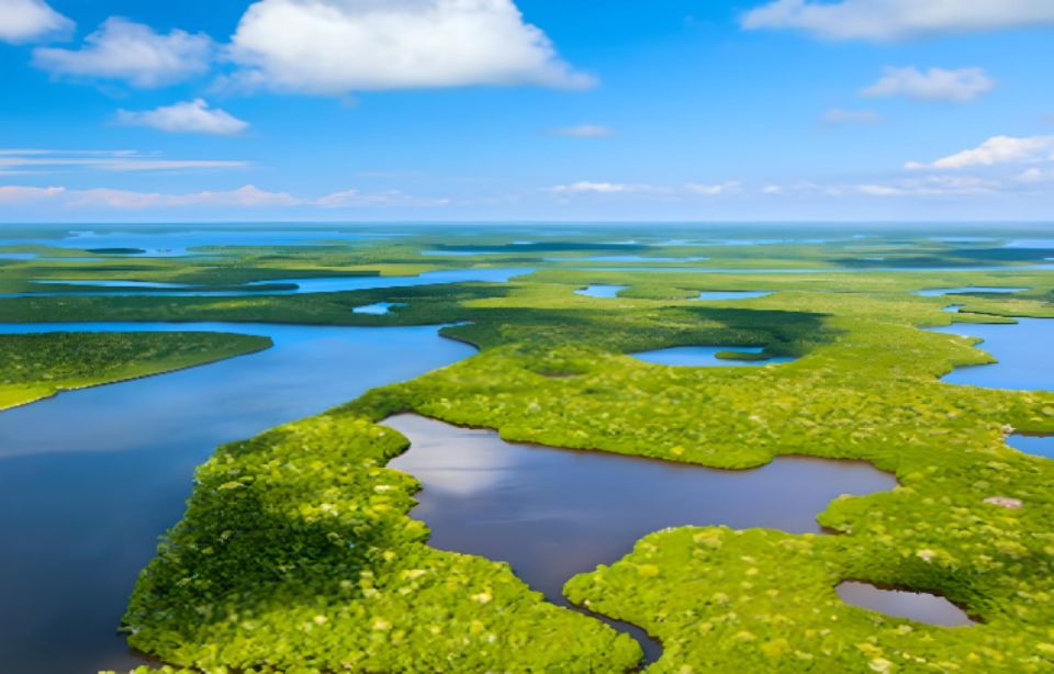 Everglades Immersion Tour: The Ultimate Everglades Adventure - Booking Details