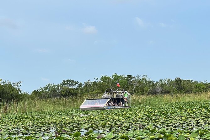 Everglades Tour From Miami With Transportation - Wildlife and Nature Observations