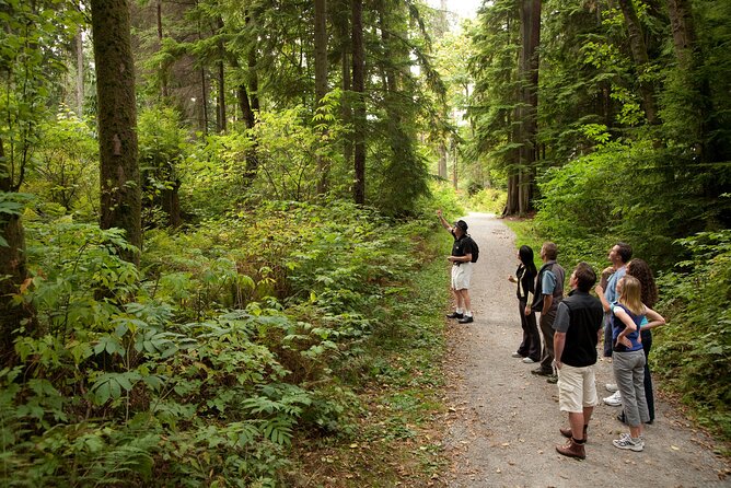 Exploring Vancouver: Includes Admission to Vancouver Lookout - Positive Reviews