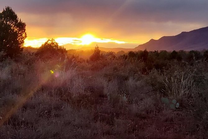 Extreme Sedona Off-Road Canyon Jeep Tour - Tour Reviews and Customer Satisfaction