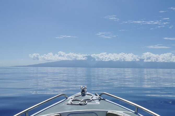 Fishing on a Private Boat off the West Coast of Tahiti - Scenic Views and Wildlife