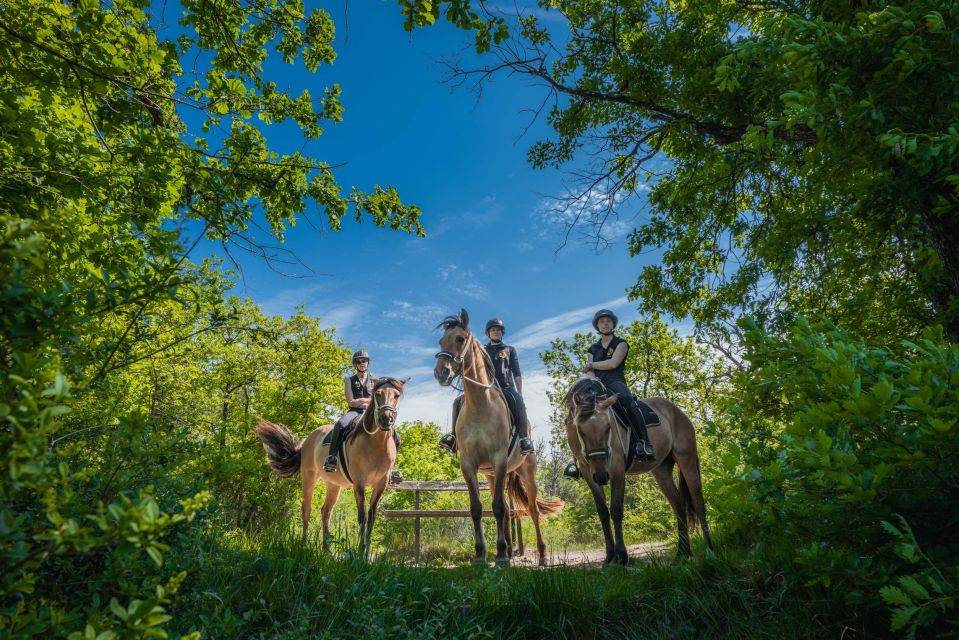 Fontainebleau: Horse-riding, Gastronomy & Château - Exclusions