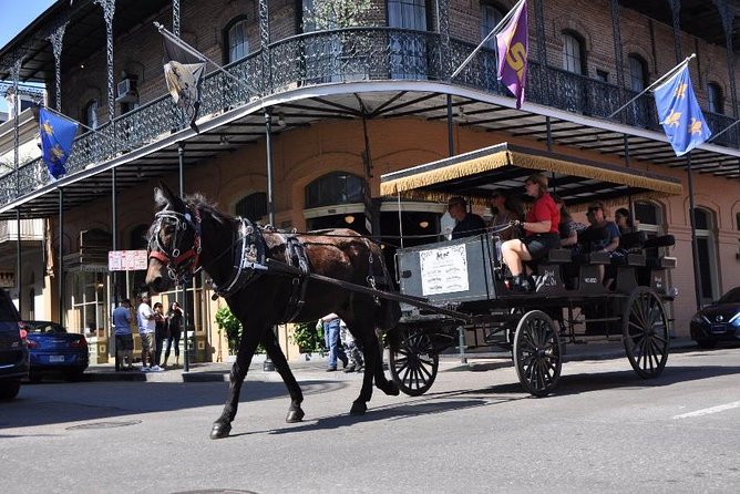 French Quarter and Marigny Neighborhood Carriage Ride - Traveler Feedback