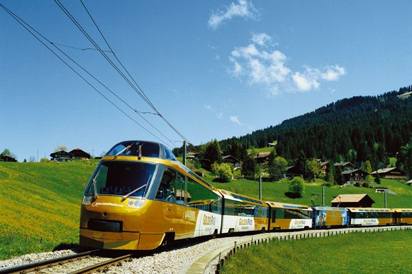 From Geneva: Gruyères Gold Tour With Train Ride & Tastings - Gift Options