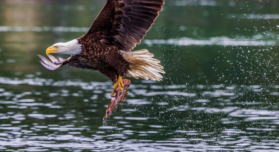 From Jackson Hole: Snake River Teton Views Scenic Float - Safety and Requirements