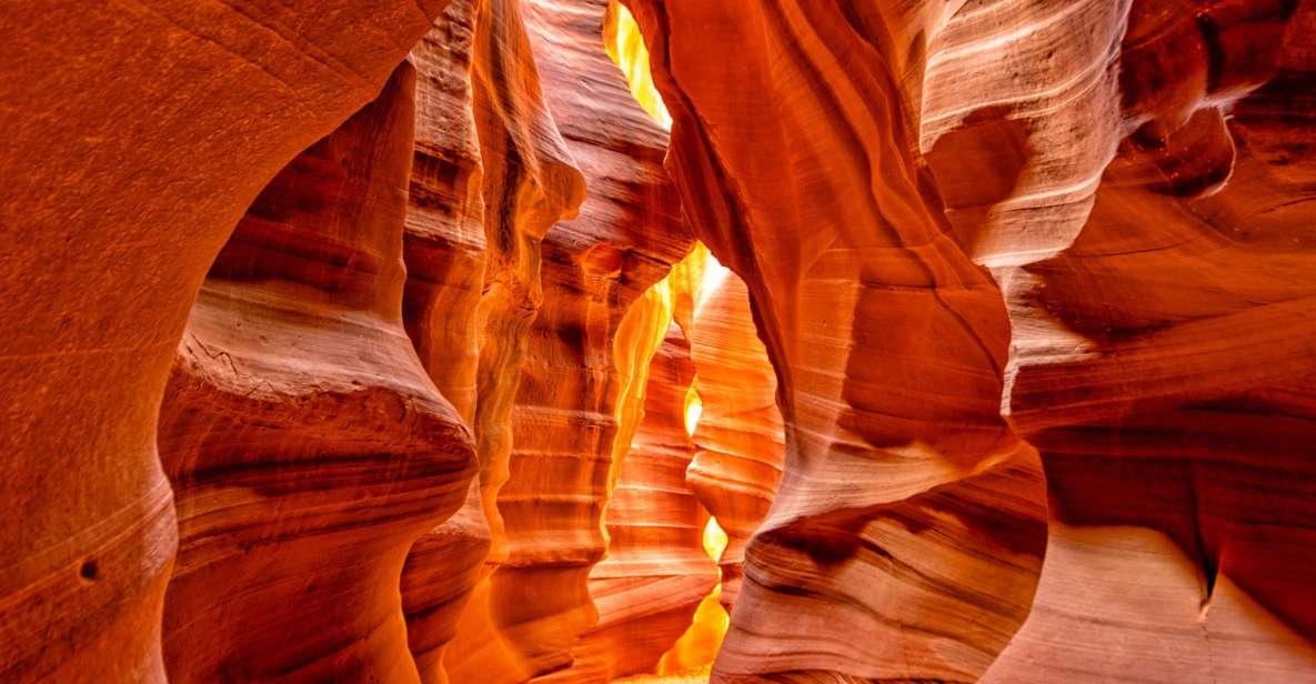 From Las Vegas: Lower Antelope Canyon & Horseshoe Bend Tour - Review Summary