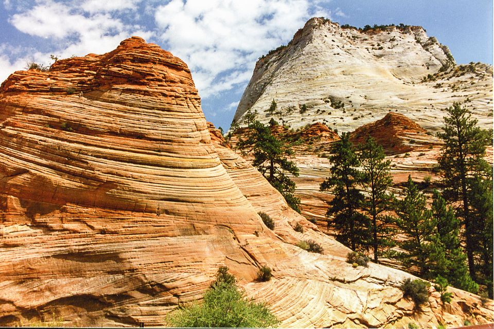 From Las Vegas: VIP Small-Group Zion National Park Adventure - Customer Reviews