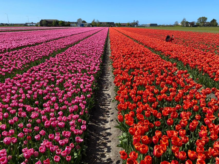 From Lisse: Flower Bike Tour Along Keukenhof and De Tulperij - Starting Location