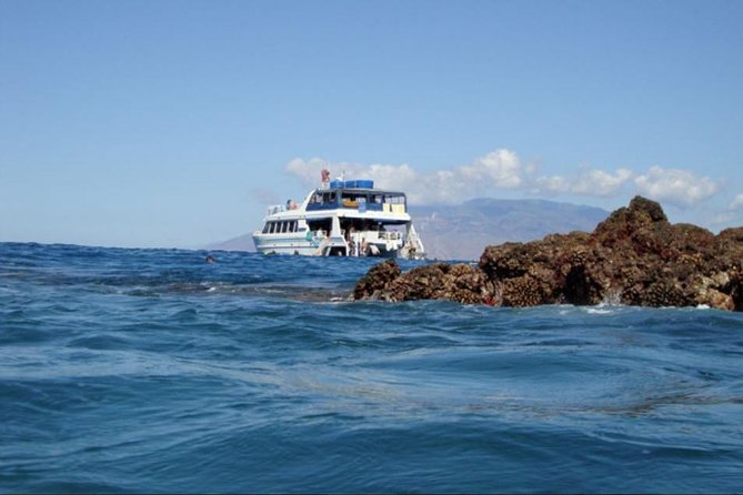 From Maalaea Harbor: Whale Watching Tours Aboard the Quicksilver - Value for Money and Experience