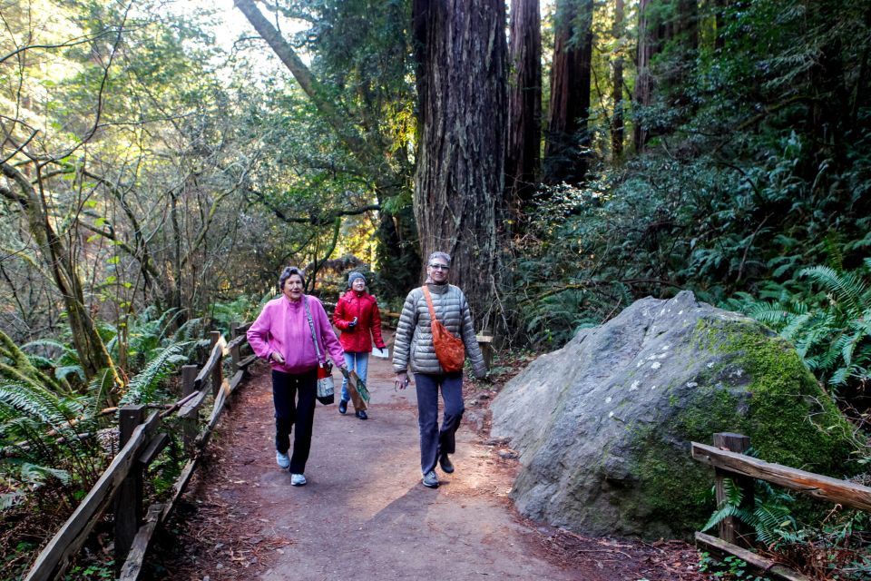 From San Francisco: Muir Woods Wine Tour With Napa & Sonoma - Full Description