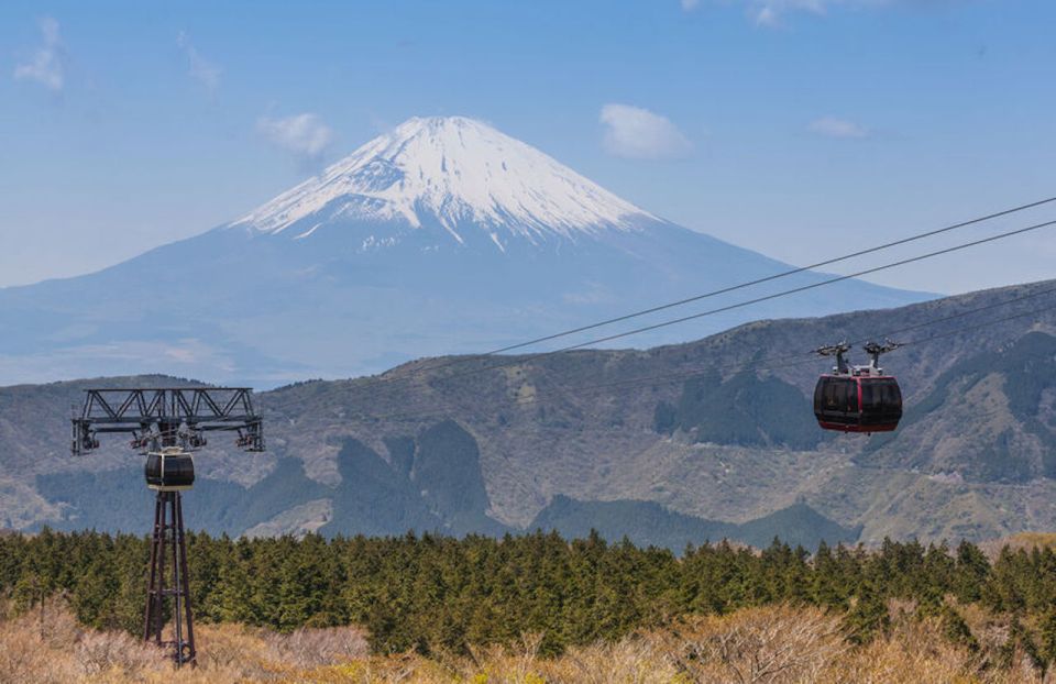 From Tokyo: Hakone and Owakudani Private Day Trip - Convenient Pickup Arrangements