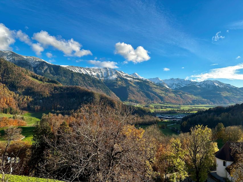 From Zurich: Private Day Trip to Gruyères & Lavaux Vineyard - Wine Tasting at Lavaux