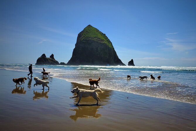 Full-Day Guided Oregon Coast Tour From Portland - Scenic Views and Photo Opportunities