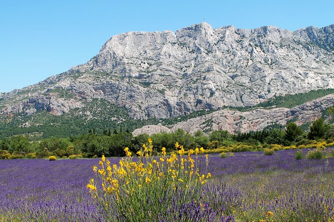 Full-Day Wine and Cheese Tour Around Aix-En-Provence From Marseille - Customer Review and Booking Information