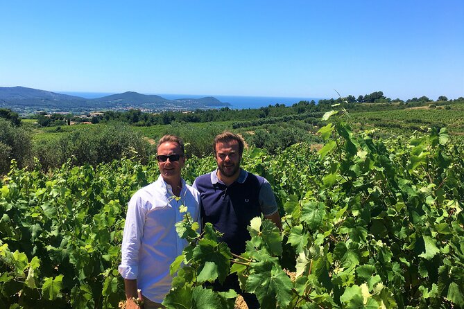 Full-Day Wine Tour Around Bandol & Cassis From Marseille - Customer Reviews