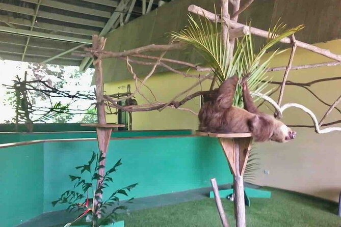 Gamboa Wildlife and Sloth Sanctuary Tour With Pickup - Insight Into Mario, the Tour Guide