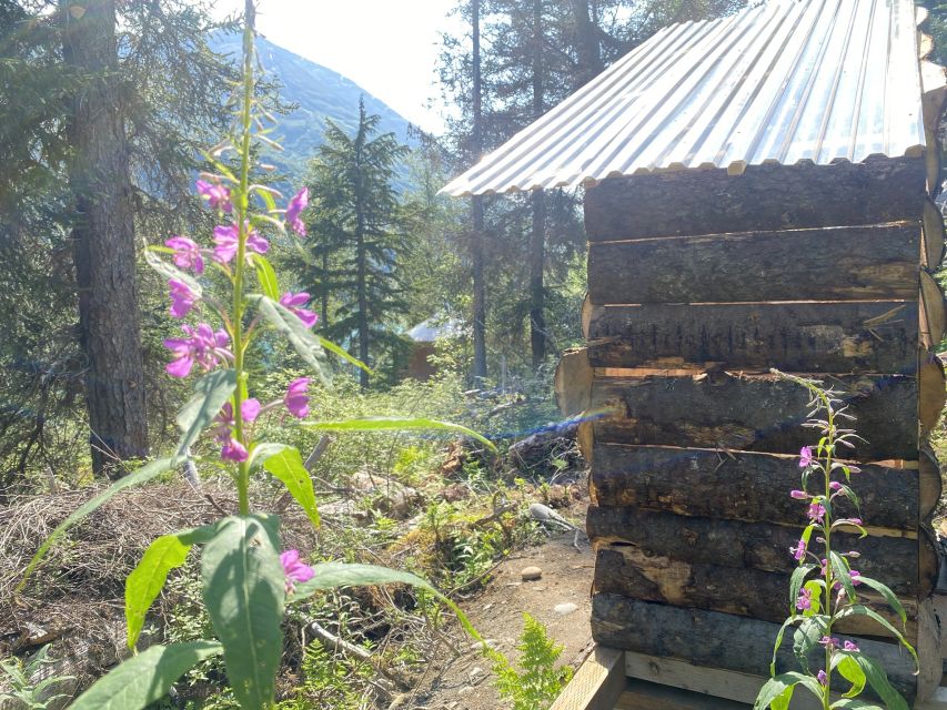 Glamping & Kayaking on Glacial Grant Lake in Wild Alaska - Accommodation & Amenities