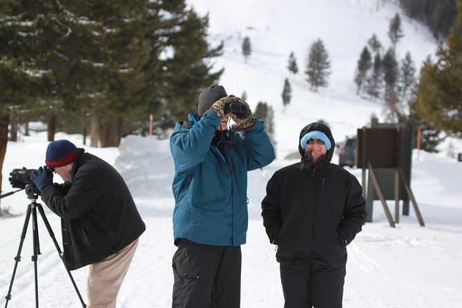 Grand Teton and National Elk Refuge Winter Wonderland Full Day Adventure - Wildlife Sightings and Reviews