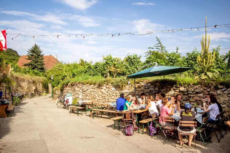 Grape Grazing: Wachau Valley Winery Biking Tour - Important Items to Bring