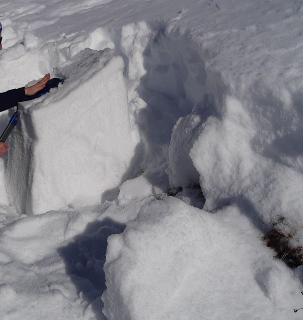 Gstaad: Avalanche Workshop for Snowshoe Tours - Instructor Expertise