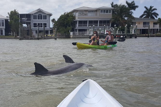 Guided Kayak Eco Tour - Bunche Beach - Wildlife Encounters